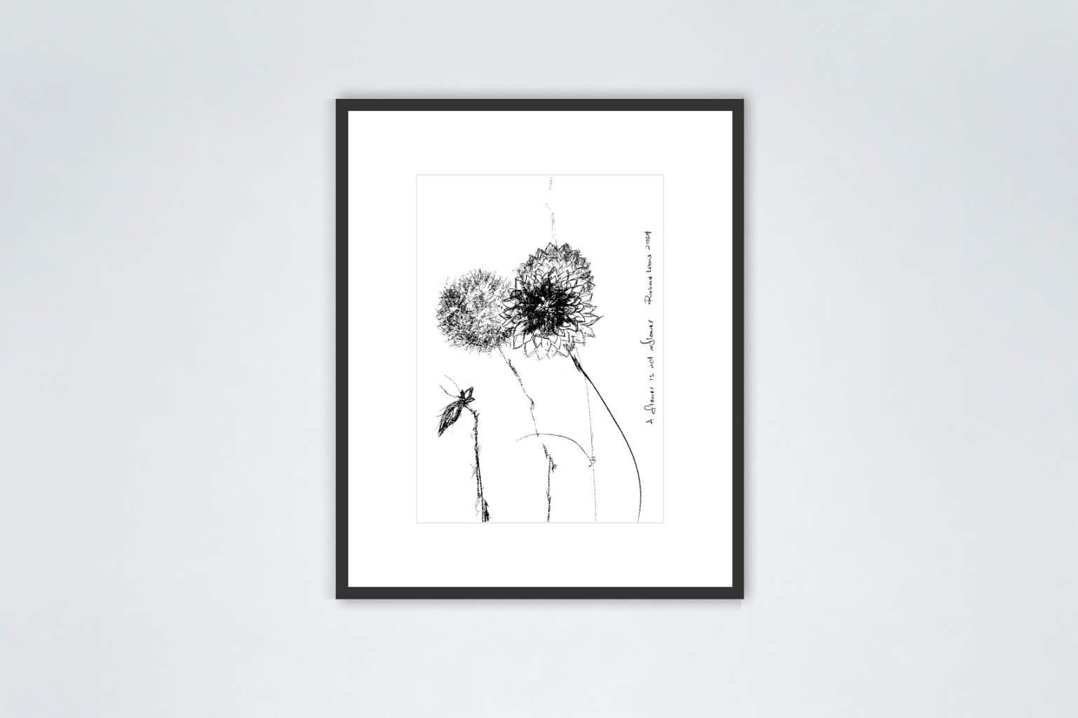 A Flower is Not a Flower, 2024, charcoal on paper