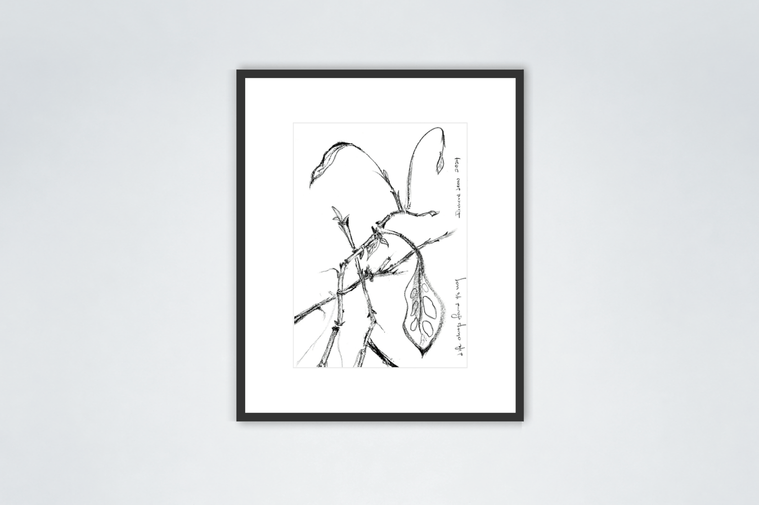 Life Always Finds Its Way, 2024, charcoal on paper